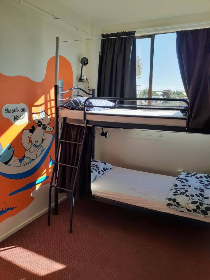 Bouncing Lamb Backpackers Hostel Nelson Exterior photo